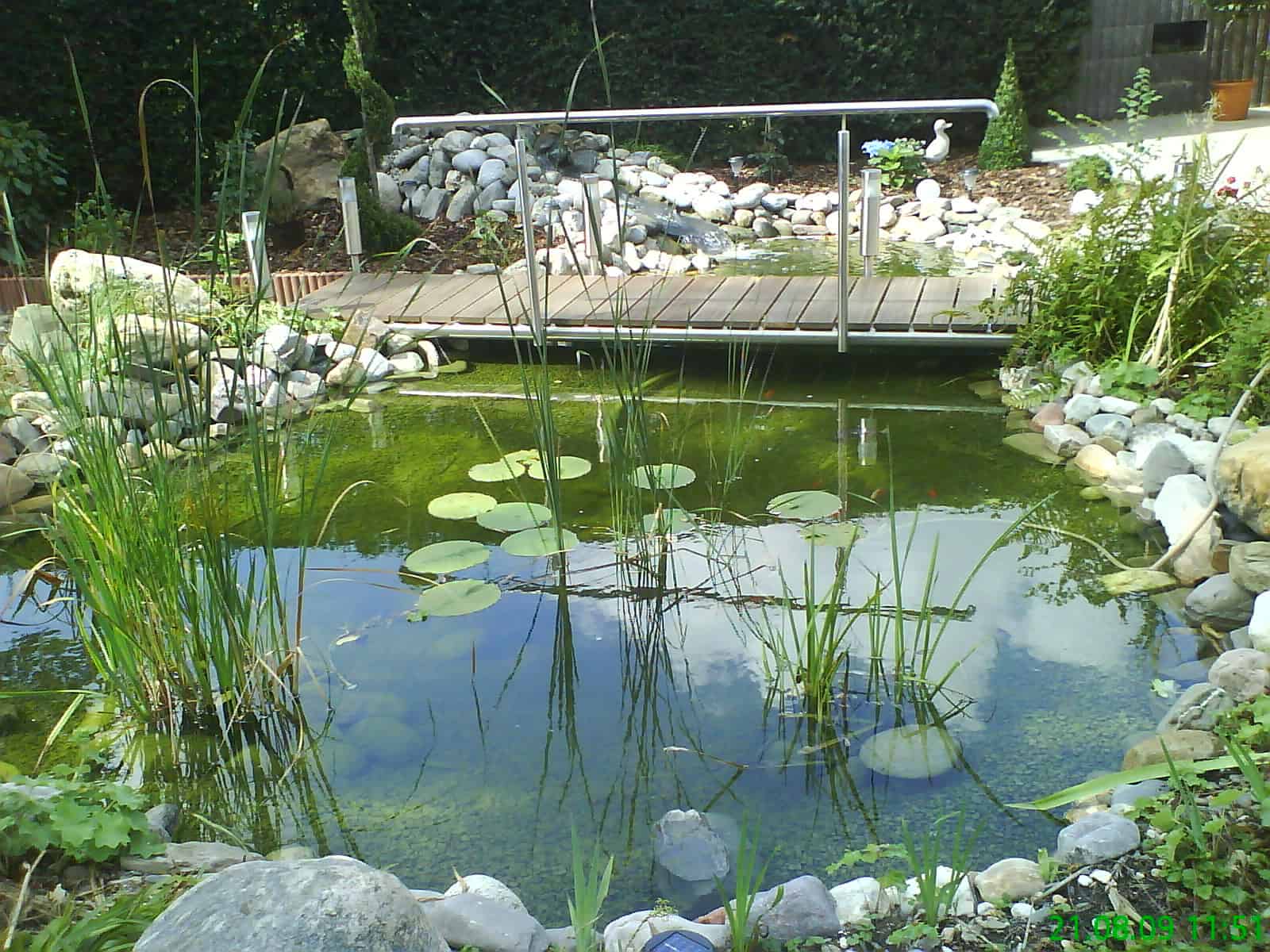 BrückeTeich